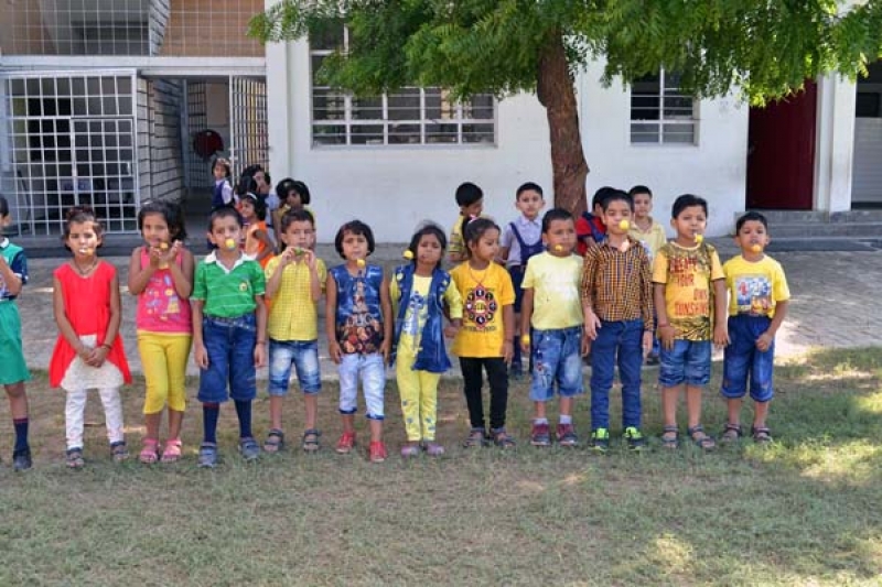 The Little Kingdom Play School, Meerut